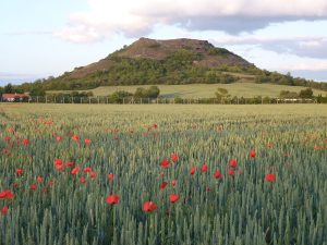 Puy DE Crouel_CENAuvergne_PM.jpg