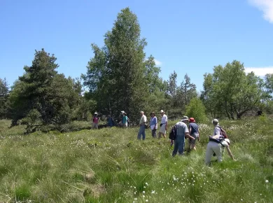 Tourbière de Baracuchet