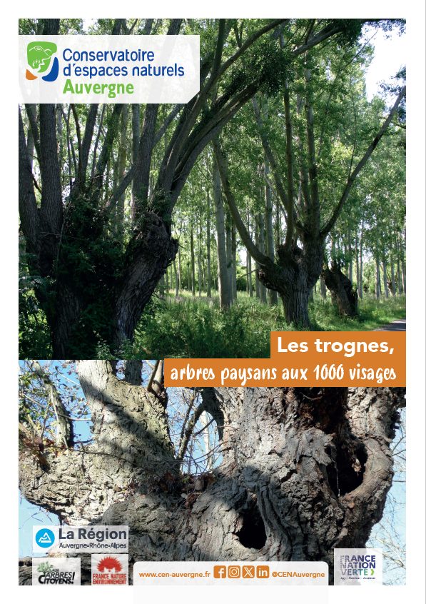 Première page du PDF