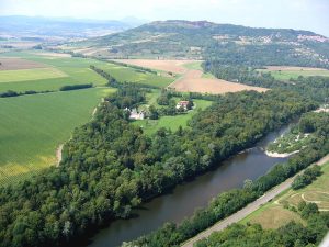 101_Forêt_Chadieu_LN_CEPA_JSAILLARD-BD.jpg