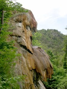 St Floret-Tête de Lion-R.LEGRAND.jpg
