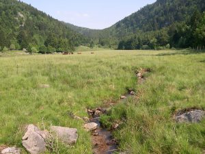 vallée du Fossat_RL copie.jpg