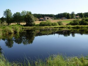 Doranges_Etang de Champmort_RL.jpg