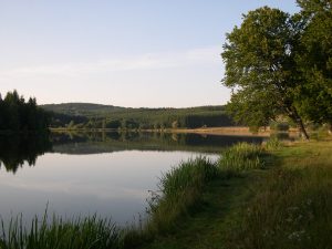 Etang de Marchaud, rive est2-R.LEGRAND.jpg