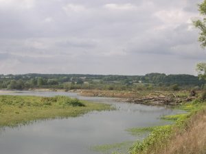 Ferté Hauterive-Boudemange vue d'ensemble-R.L