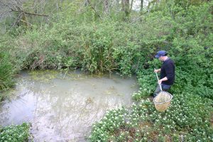 Giat_MaredeFontechelle_CENAuv_RL (6).jpg