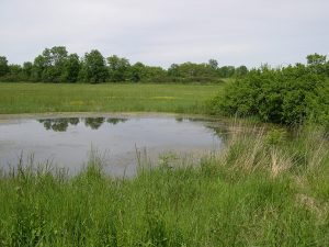 Lac Puy de Corent-SE 1.jpg