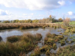 Lorlanges_Lac long_CEPA (4).jpg
