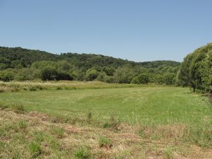MaraisPommier_17juill09_VL (31).jpg