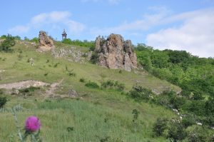 Site-CEN-Puy de Mardou Puy-de-Dome_Yves Geay.