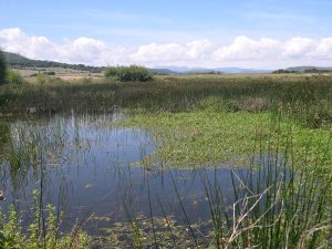 Solignat_Lac d'Issoire_R.LEGRAND.jpg
