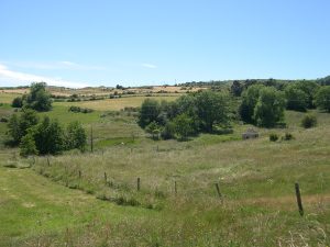 Sources de Chassole - R.LEGRAND.jpg