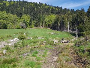 Vallee des Reblats.jpg