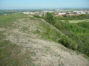 peperite_lempdes (1).jpg