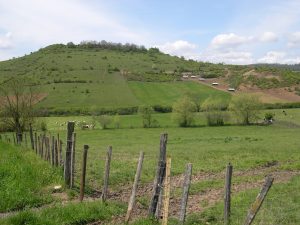 Beaumont -Pré salé - R.LEGRAND.JPG
