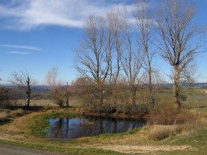 IMG_0609.JPG