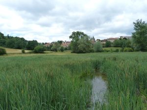 Marais d'Ours.jpg