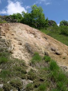 Saurier-Source de Lagouzoux-R.LEGRAND.JPG