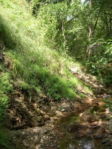 Ternant les eaux-Travertin -R.LEGRAND.JPG