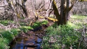 WP_20140416_019.jpg