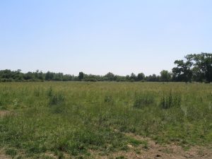 les Jélines_parc pâturage_CEPA.JPG