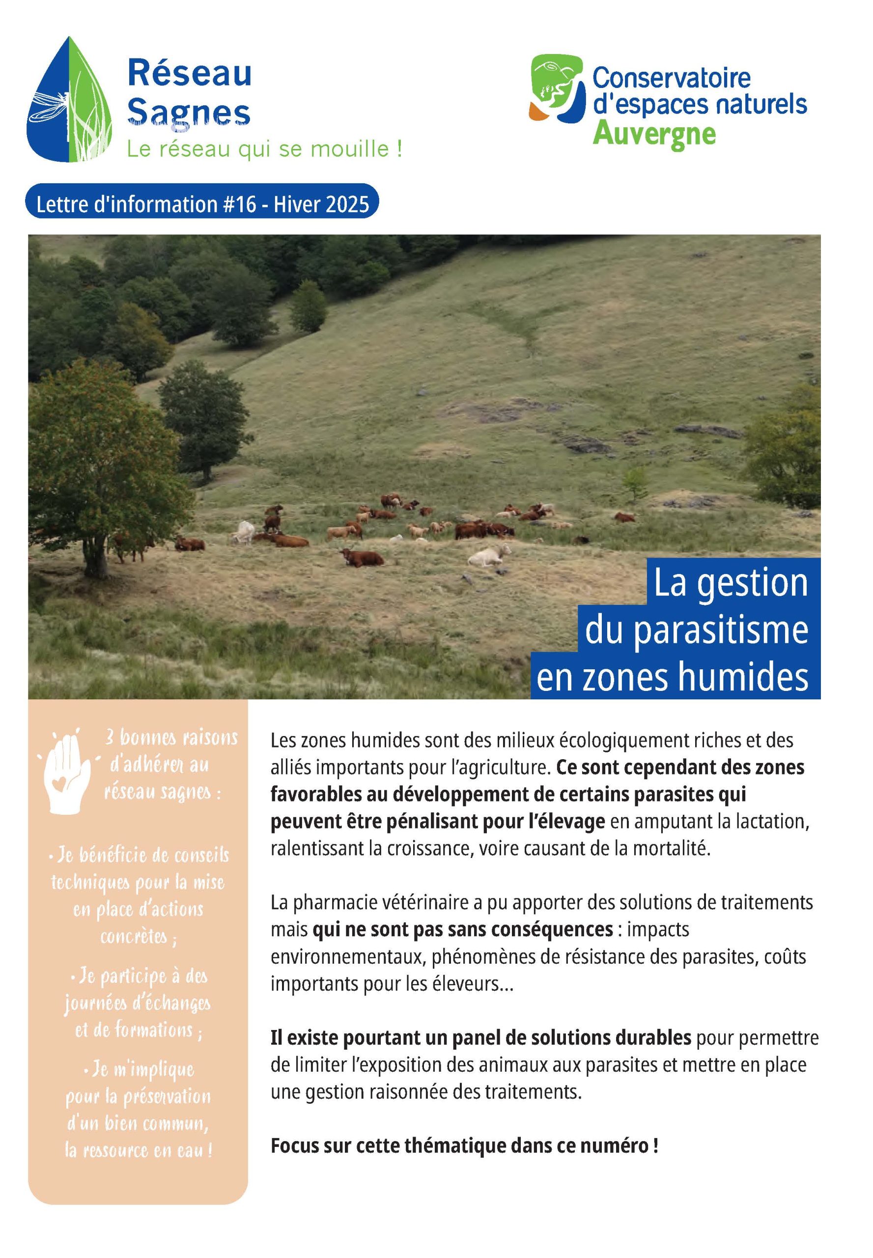 Première page du PDF