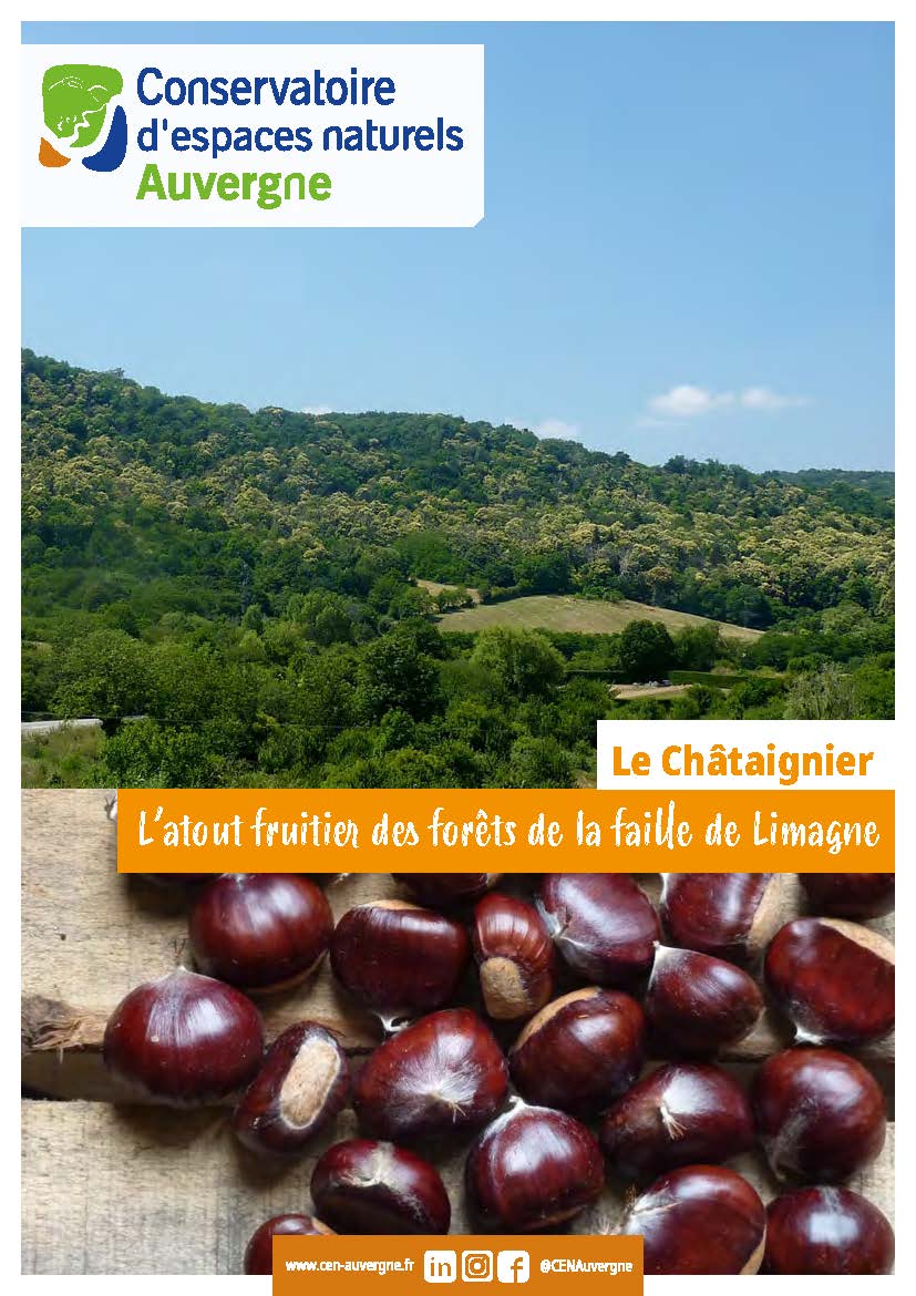 Première page du PDF