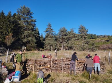 construction d'une haie sèche