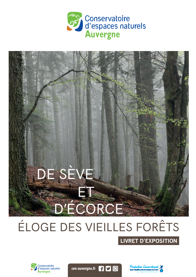 Première page du PDF