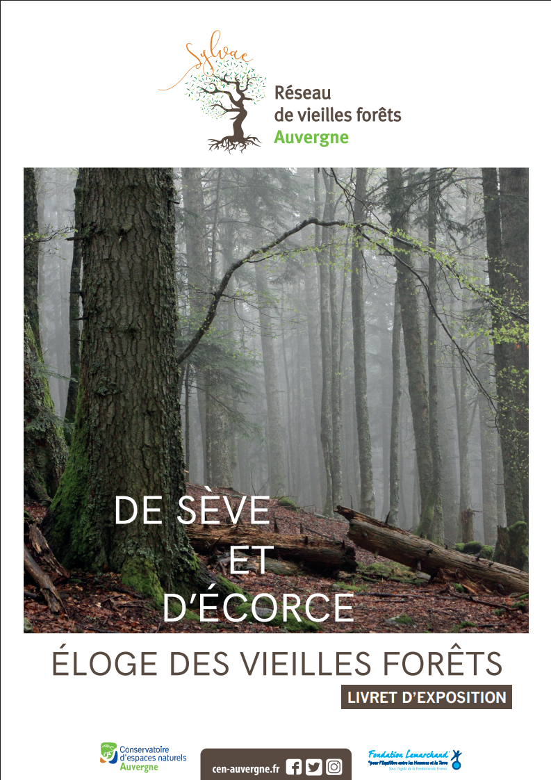 Première page du PDF