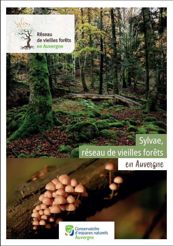 Première page du PDF