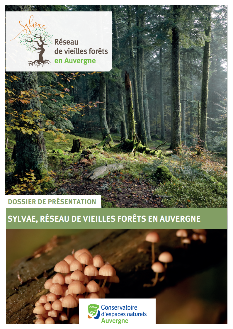 Première page du PDF