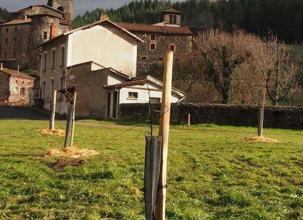 Verger communal_CENAuvergne