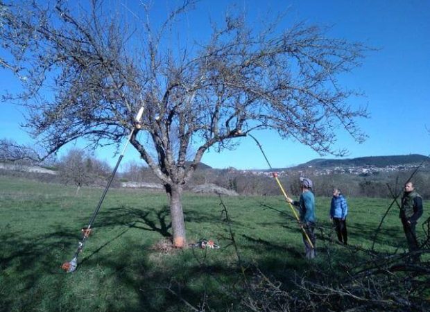 formation_taille_coubon_032021_cena